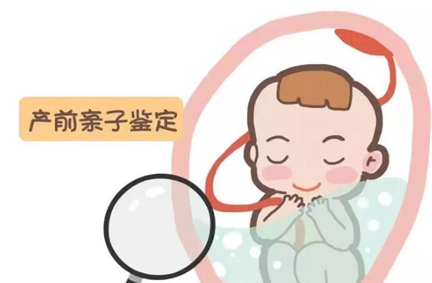怀孕期间南昌如何办理胎儿亲子鉴定,南昌做孕期亲子鉴定结果会不会有问题